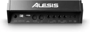 Alesis DM 10 MKII Conectores